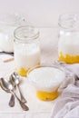 Tapioca dessert with mango Royalty Free Stock Photo