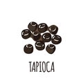 Tapioca icon in flat style isolated on white background