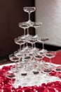 Tapioca pearls in champagne glass pyramid tower decorated with rose petals on white cloth table Royalty Free Stock Photo