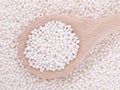 Tapioca pearls in wooden spoon Royalty Free Stock Photo