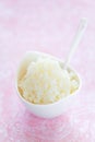 Tapioca pudding Royalty Free Stock Photo