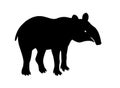 Tapir, animal, vector path for laser cutting, shadow black color, cute flat style.