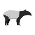 Tapirus indicus - Malayan tapir - Lateral view Royalty Free Stock Photo