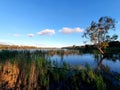 Tapoo Lagoon, Caurnamont, Murray Riverlands Royalty Free Stock Photo