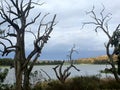 Tapoo Lagoon, Caurnamont, Murray Riverlands Royalty Free Stock Photo