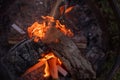 A Close up shot of wood burning in an outdoor fire pit with flames Royalty Free Stock Photo