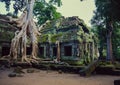 Taprom Temple with Tree