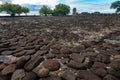 Taputapuatea Marae of Raiatea French polynesia Unesco archeological site Royalty Free Stock Photo