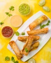 Best Taquitos with sauce photoshoot