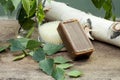 Tar soap and massage brush. green birch leaves, flat lay, top view