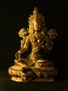 Tara Goddess statue