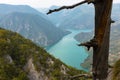 Tara National Park, Serbia. Viewpoint Banjska Stena. View at Drina river canyon and lake Perucac