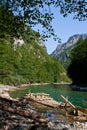 Tara river, Montenegro, Crna Gora Royalty Free Stock Photo