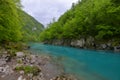 Tara river in spring, Montenegro