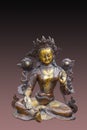 Tara, Buddhist saviour-goddess