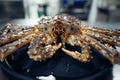 Taraba sea crabs or alaska king crab on black plate Royalty Free Stock Photo