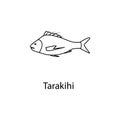 tarakihi icon. Element of marine life for mobile concept and web apps. Thin line tarakihi icon can be used for web and mobile. Pre Royalty Free Stock Photo