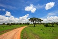 Tarangire national park