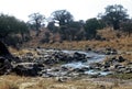 Tarangire National Park, Tanzania