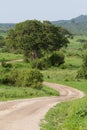 Tarangire road