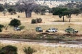 Tarangire safari