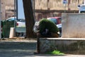 Taranto, Apulia / Italy - 03/23/2019 : A lost homeless old man depressed on bench Royalty Free Stock Photo