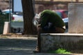 Taranto, Apulia / Italy - 03/23/2019 : A lost homeless old man depressed on bench