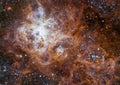 The Tarantula Nebula in the Large Magellanic Cloud. Royalty Free Stock Photo