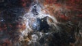 The Tarantula Nebula by Webb Space Telescope. Elements of this picture furnished by NASA