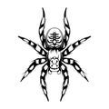 Tarantula. Exotic pets. Halloween. Spider or arachnid species. Dangerous insects