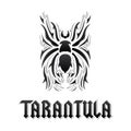 Tarantula Spider vector illustration and lettering design.