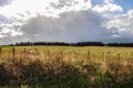 Tararua District farmland of New Zealand