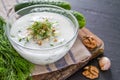 Tarator ingredients on dark stone background Royalty Free Stock Photo
