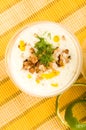 Tarator - traditional bulgarian cold summer soup Royalty Free Stock Photo