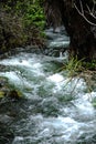 Tarawera River