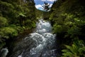 Tarawera River, New Zealand