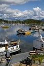 Tarbert