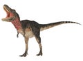 Tarbosaurus