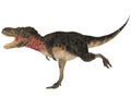 Tarbosaurus