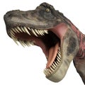 Tarbosaurus big bite Royalty Free Stock Photo