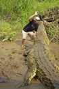 TARCOLES, COSTA RICA - JUNE 6TH, 2020: Man feeding a large crocodile on a crocodile tour