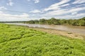 Tarcoles River, Costa Rica Royalty Free Stock Photo