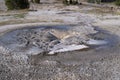 Tardy Geyser in Yellowstone National Park on a sunny day