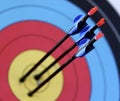 On Target Royalty Free Stock Photo