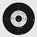 Target after accurate shooting, hit the bull`s eye Royalty Free Stock Photo