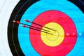 Target archery: hit the mark (3 arrows, close-up) Royalty Free Stock Photo