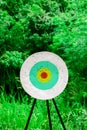 target with arrow. Target and aim board Royalty Free Stock Photo