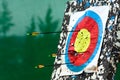 Target with arrows Royalty Free Stock Photo