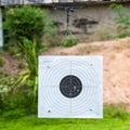 On target Royalty Free Stock Photo