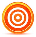 Target icon natural orange round button Royalty Free Stock Photo